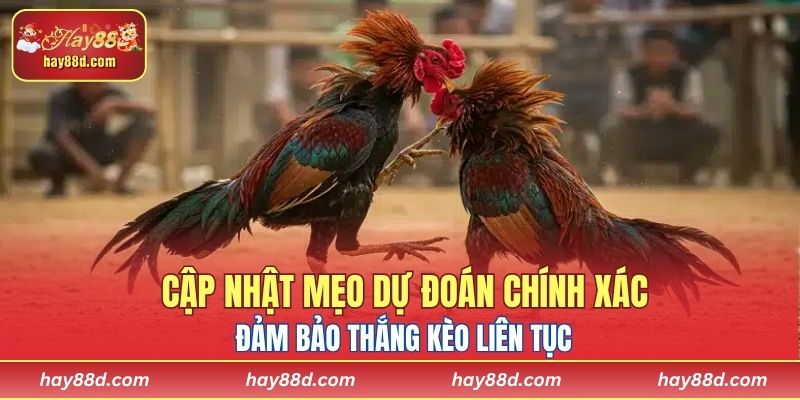Cập nhật mẹo dự đoán chính xác đảm bảo thắng kèo liên tục 