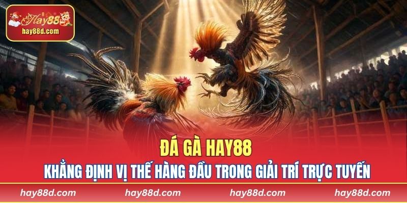 Đá gà HAY88 khẳng định vị thế hàng đầu trong giải trí trực tuyến