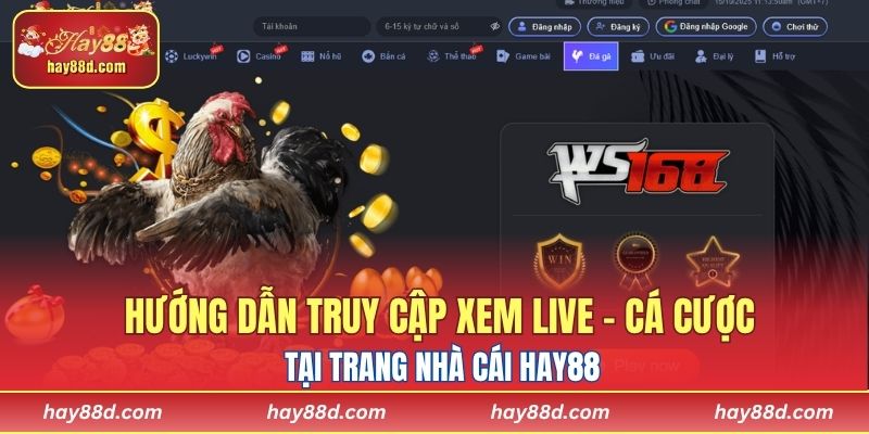 Hướng dẫn truy cập xem live - cá cược tại trang nhà cái HAY88 