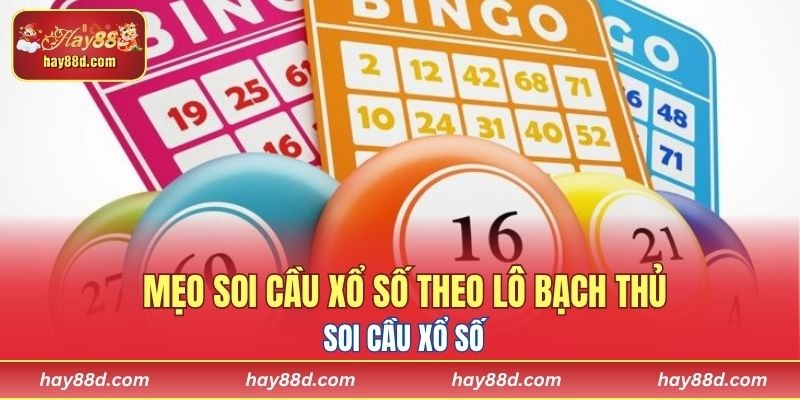 Mẹo soi cầu xổ số theo lô bạch thủ cực hay