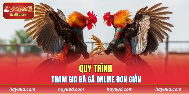 Quy trình hướng dẫn tham gia đá gà online nhanh chóng