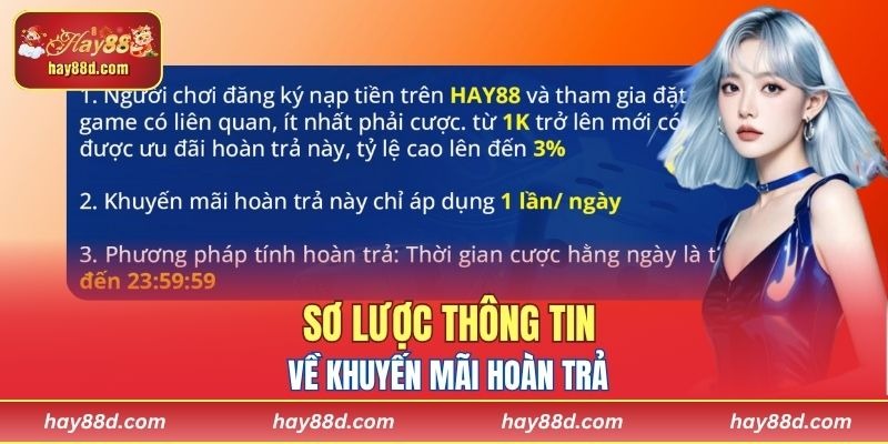 Sơ lược thông tin về khuyến mãi hoàn trả
