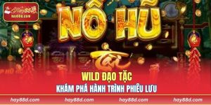 Wild đạo tặc